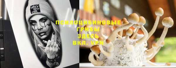 эйфоретик Заволжье