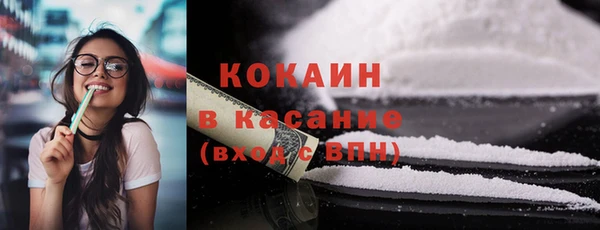 шишки Заводоуковск