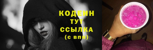 шишки Заводоуковск