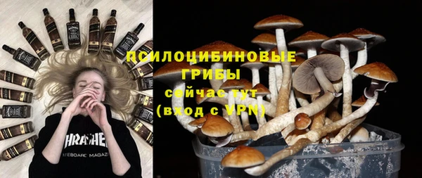 эйфоретик Заволжье