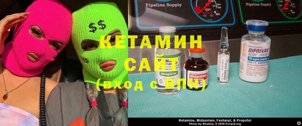шишки Заводоуковск