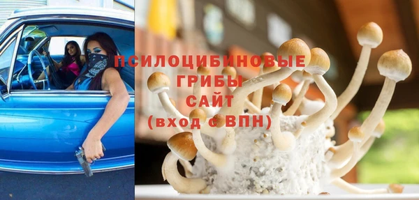 эйфоретик Заволжье