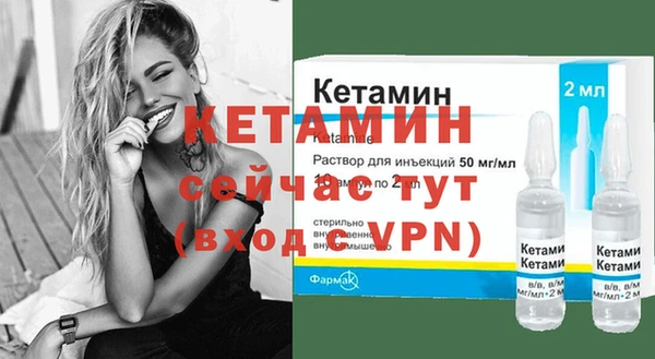 шишки Заводоуковск