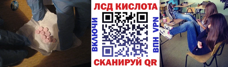 ЛСД экстази кислота  Купить закладки  Злынка 