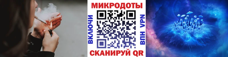 Галлюциногенные грибы MAGIC MUSHROOMS  Купить закладки  Злынка 